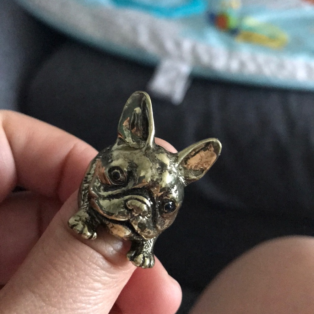 French bulldog